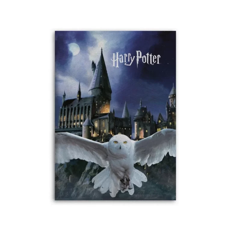 HARRY POTTER - Hedwig - Polar Plaid 100% Microfiber - 100x140cm