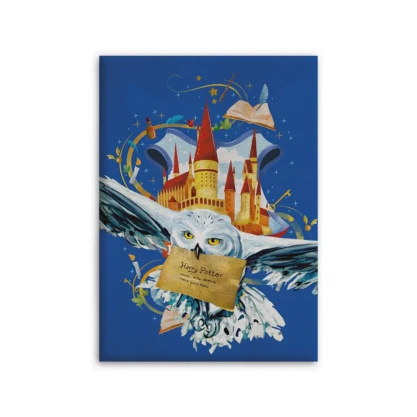 HARRY POTTER - Letter - Polar Plaid 100% Microfiber - 100x140cm