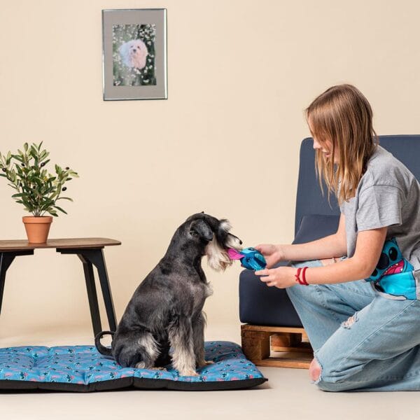 LILO & STITCH - Matras voor Hond - Maat S (75x60x4 cm) - Afbeelding 4