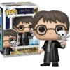 Funko Pop! Harry Potter: Harry with Hedwig (197)